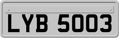 LYB5003