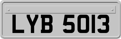 LYB5013