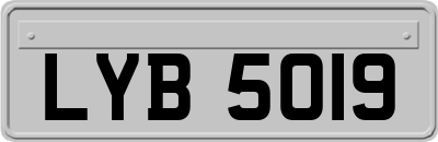 LYB5019