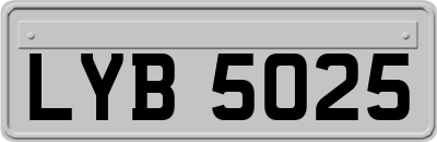 LYB5025