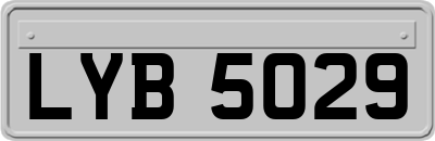 LYB5029
