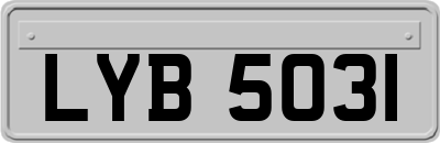LYB5031