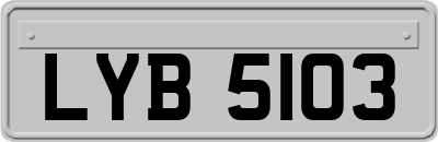 LYB5103