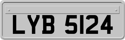 LYB5124