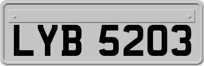 LYB5203