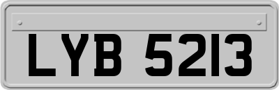 LYB5213