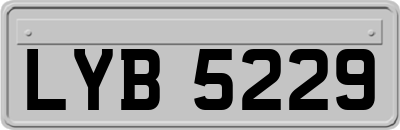 LYB5229