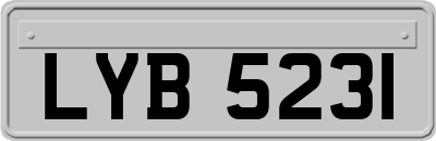 LYB5231