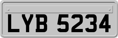 LYB5234