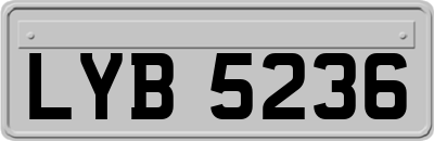 LYB5236
