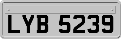 LYB5239
