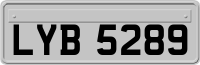 LYB5289