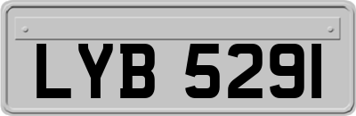 LYB5291