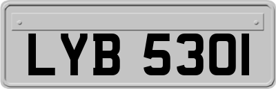 LYB5301