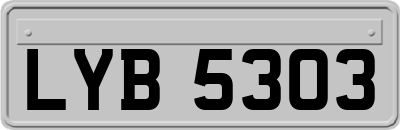 LYB5303