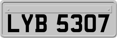 LYB5307