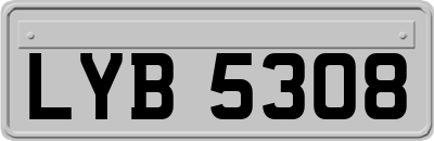 LYB5308