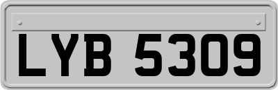 LYB5309