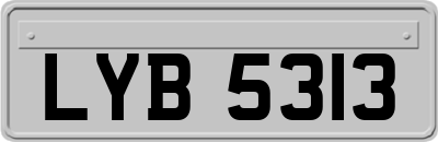 LYB5313