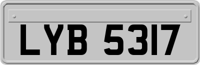LYB5317