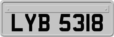 LYB5318