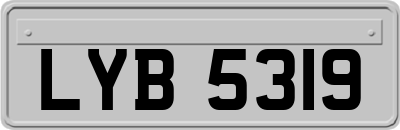 LYB5319