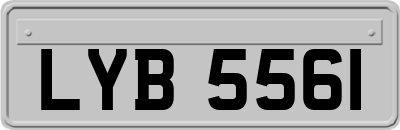 LYB5561