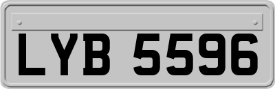 LYB5596
