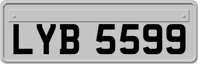 LYB5599