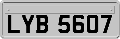 LYB5607