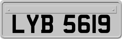 LYB5619