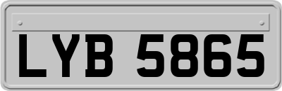 LYB5865