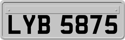 LYB5875