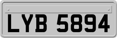 LYB5894