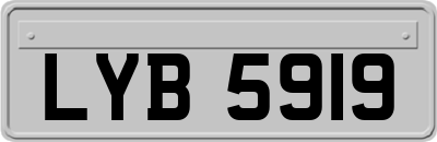 LYB5919