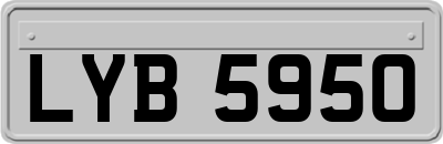 LYB5950