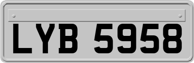 LYB5958