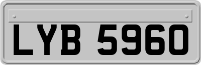 LYB5960