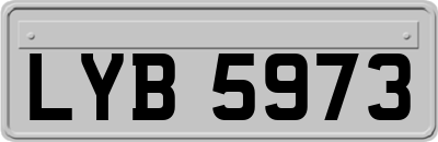 LYB5973