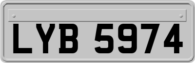 LYB5974