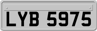 LYB5975