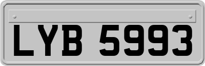 LYB5993