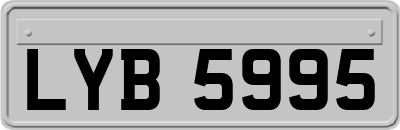LYB5995