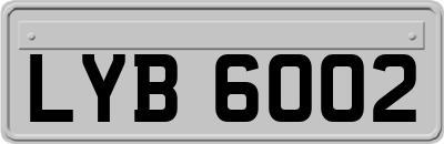 LYB6002