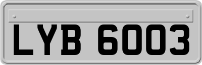 LYB6003