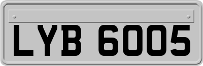 LYB6005