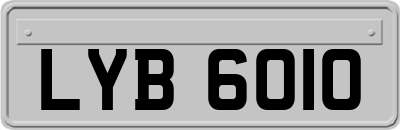 LYB6010