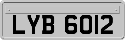 LYB6012