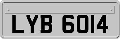 LYB6014
