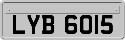 LYB6015